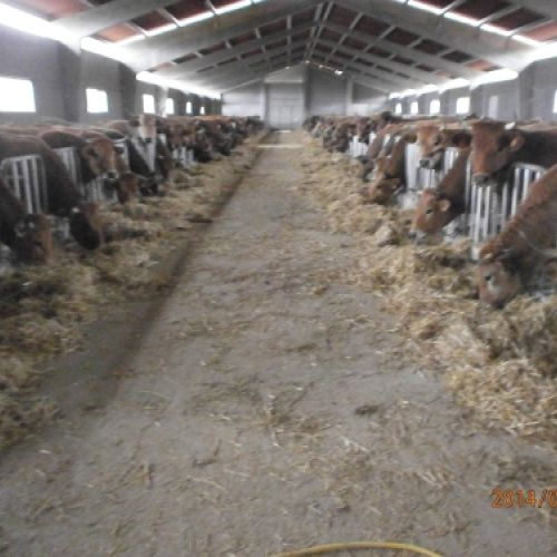 Topografía catastros Tineo