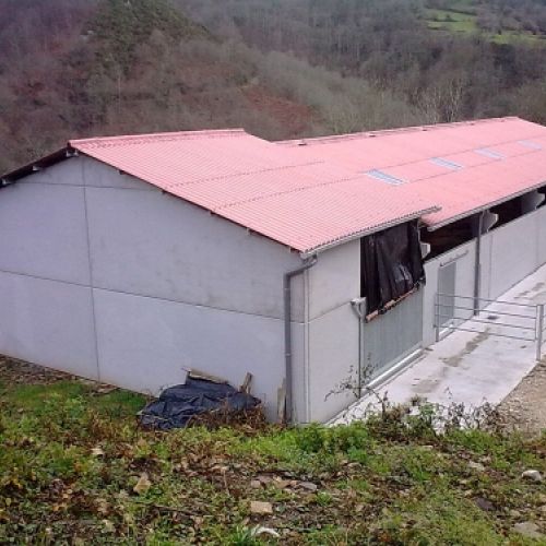 Topografía catastros en Tineo